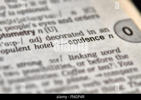 Opulence Word Definition Text in Dictionary Page Stock Photo