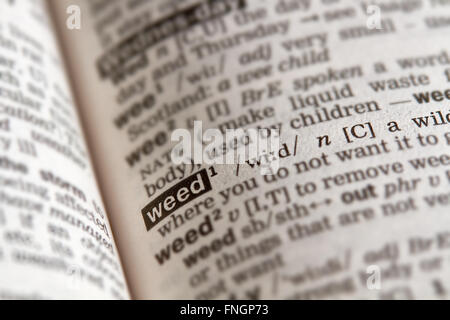 Weed Word Definition Text in Dictionary Page Stock Photo