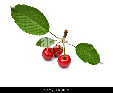 Isolated red cherries on white background Stock Photo