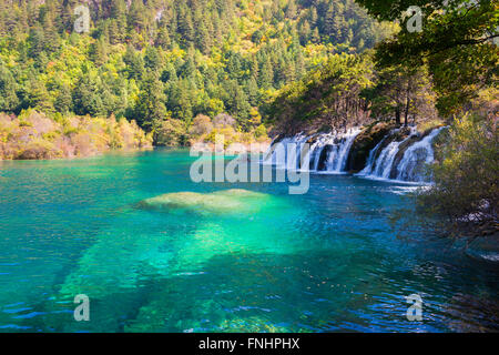 Sparkling lake Cascades, Jiuzhaigou National Park, Sichuan Province, China, Unesco World Heritage Site Stock Photo