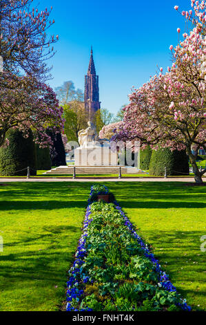 magnolia gramercy blooming spire