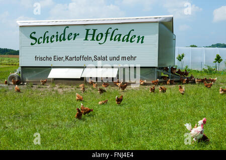 Deutschland, Rhein-Sieg-Kreis, Lohmar, Scheid, Scheider Hofladen Stock Photo