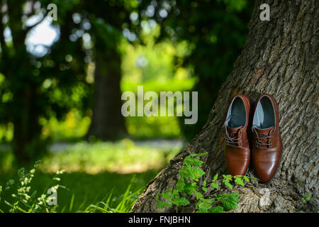 Brown leather men's shoes left near a tree trunk Stock Photo