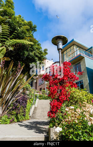 Kearny Street, San Francisco, Californien, USA - June 29, 2012: Residential area of Downtown of San Francisco, CA USA. Stock Photo