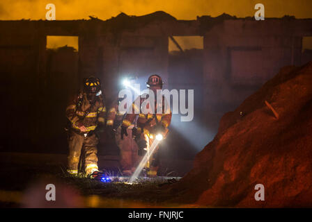 Lake Worth, Florida, USA. 16th Mar, 2016. A two-alarm fire destroyed a 200 foot-long barn at the South Florida Trotting Center in Western Lake Worth. The fire started around midnight and caused the roof to collapse. The fate of thirty horses in the barn are unknown at this time according to Palm Beach County Fire Rescue Capt. Albert Borroto. Credit:  Allen Eyestone/The Palm Beach Post/ZUMA Wire/Alamy Live News Stock Photo