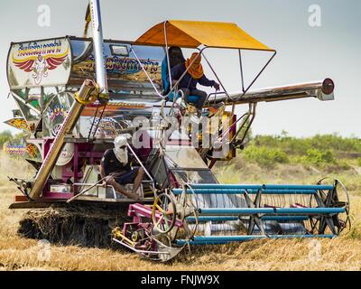 Bang Sombun, Nakhon Nayok, Thailand. 16th Mar, 2016. Workers on a mechanical rice harvester bring in the last of the 2015 rice crop in Nakhon Nayok province. Normally the farmers would plant a second crop of rice but they can't this year because their won't be enough water to irrigate the fields. The drought in Thailand is worsening and has spread to 14 provinces in the agricultural heartland of Thailand. Communities along the Bang Pakong River, which flows into the Gulf of Siam, have been especially hard hit since salt water has intruded into domestic water supplies as far upstream as Prach Stock Photo