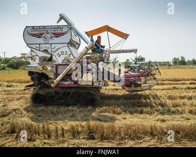 Bang Sombun, Nakhon Nayok, Thailand. 16th Mar, 2016. Workers on a mechanical rice harvester bring in the last of the 2015 rice crop in Nakhon Nayok province. Normally the farmers would plant a second crop of rice but they can't this year because their won't be enough water to irrigate the fields. The drought in Thailand is worsening and has spread to 14 provinces in the agricultural heartland of Thailand. Communities along the Bang Pakong River, which flows into the Gulf of Siam, have been especially hard hit since salt water has intruded into domestic water supplies as far upstream as Prach Stock Photo
