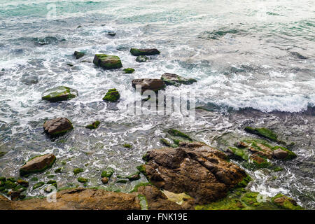 Close-up of rocky shore with sea water and large rocks covered with algae. Rocky coastline with sea water. Stock Photo
