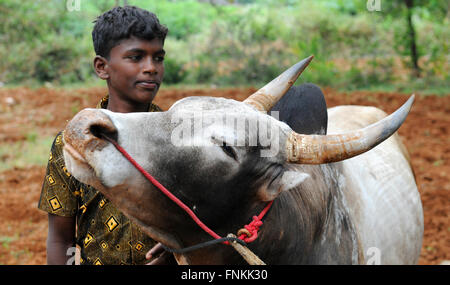 Portrait of a Young Jallikattu Bull Tamers.Jallikattu bull taming during Pongal festival.Madurai,Tamil Nadu,India Stock Photo