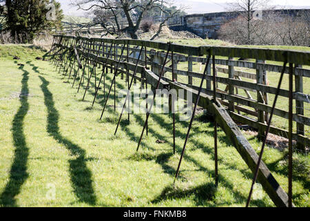 The last remaining tenterhook frames in the world. Tenterhooks were used to stretch and dry cloth after weaving Stock Photo