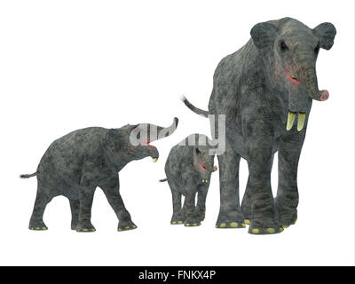 The hoe tusker, or Deinotherium (terrible beast),was a prehistoric  relative of Elephants with strange downward-curving tusks from its lower  jaws Stock Photo - Alamy