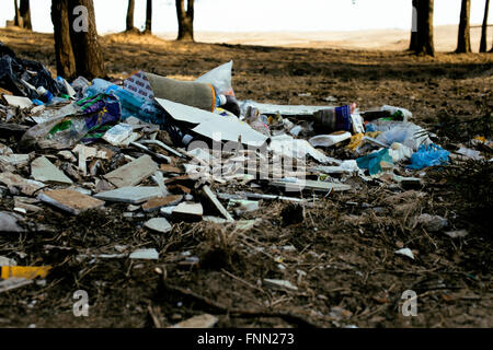 Big garbage bag in the woods. Picking up trash in the forest Stock Photo by  GalinkaZhi