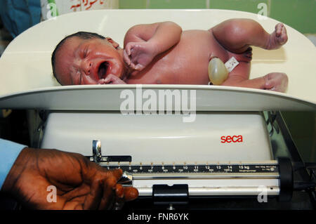 New born baby being weighed, soon after birth (umbilical cord still attached). Stock Photo