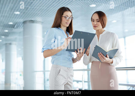 Two young colleagues discussing business documents together Stock Photo