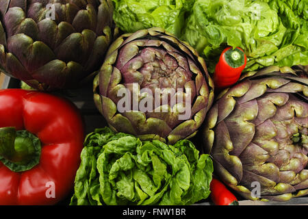 Fresh big Romanesco artichokes green-purple flower heads, red paprika, romanine lettuce Stock Photo