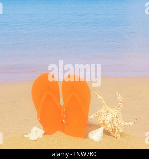 orange sandals and seashells in sand on beach Stock Photo