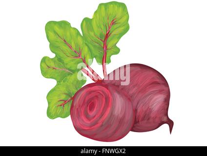 beetroot with leaves isolated on white background Stock Vector