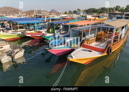 at the harbour in Labuan Bajo, Flores, Indonesia, Asia Stock Photo
