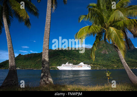 Paul Gauguin cruise anchored in Moorea, French Polynesia, Society Islands, South Pacific. Stock Photo