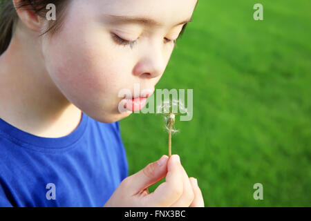 Little girl blowing dandelion Stock Photo