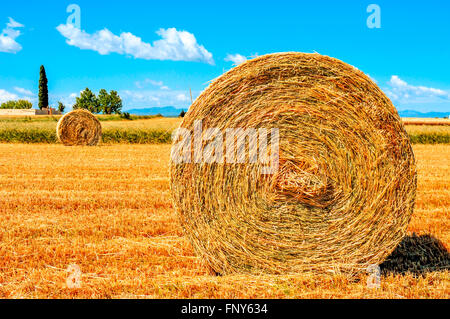 a crop field in Spain with some large round straw bales after harvesting Stock Photo