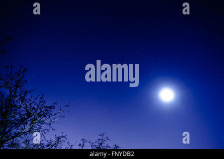 The starry sky and the moon. View from my window. Moon and star dust in the sky. Stock Photo