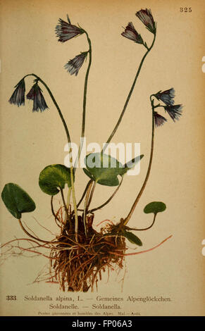 Atlas de la flora alpine (Pl. 333) Stock Photo