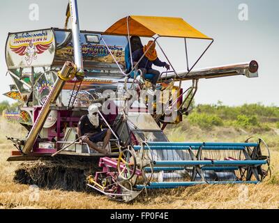 Bang Sombun, Nakhon Nayok, Thailand. 16th Mar, 2016. Workers on a mechanical rice harvester bring in the last of the 2015 rice crop in Nakhon Nayok province. Normally the farmers would plant a second crop of rice but they can't this year because their won't be enough water to irrigate the fields. The drought in Thailand is worsening and has spread to 14 provinces in the agricultural heartland of Thailand. Water is being trucked to hospitals in the area because they can't use the salty water. © Jack Kurtz/ZUMA Wire/Ģ����ý Live News Stock Photo