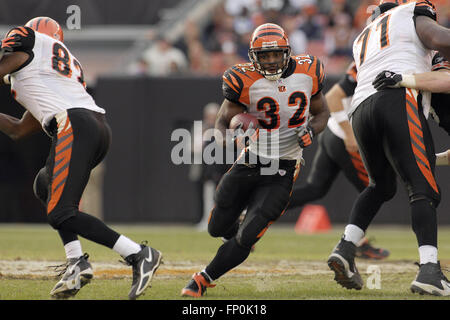 Cincinnati Bengals running back Rudi Johnson who rushed for 129 yards on 30  carries against the Denver Broncos, carries the ball in the second half at  Invesco Field at Mile High in