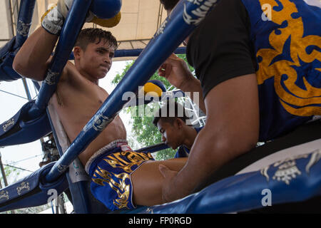 Muay Thai boxer between rounds, Bangkok, Thailand Stock Photo - Alamy