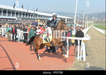 Cheltenham, Gloucestershire, UK. 17th Mar, 2016. Village Vic ridden by Richard Johnson  entering the course for the Ryanair Steeple Chase  at St Patrick's Thursday, Cheltenham Racecourse, Cheltenham, Gloucestershire.UK Credit:  jules annan/Alamy Live News Stock Photo