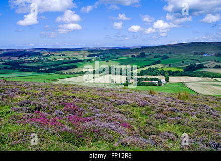 View from heather moorland on Westerdale Moor over farmland towards Castleton Ridge, North York Moors, Yorkshire, England UK Stock Photo