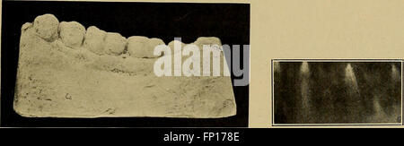 This instructional system provides a visual and clinical approach to ...