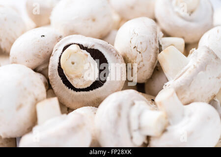 Portion of white Mushrooms for use as background image or as texture Stock Photo