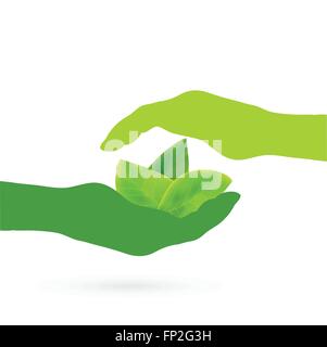 Illustration of hands holding leaves isolated on a white background. Stock Vector
