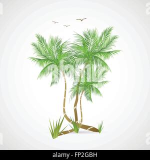 Illustration of palm trees isolated on a white background. Stock Vector