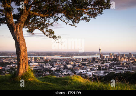 A view of Auckland city from Mt. Eden. Stock Photo