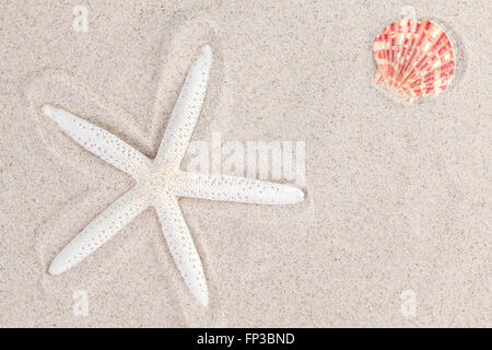 Starfish and a shell on sand, summer background. Stock Photo