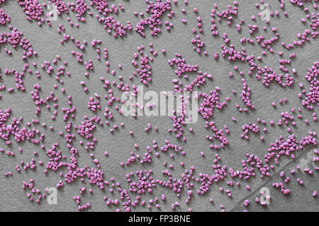 Fine purple grit on stone background. Stock Photo