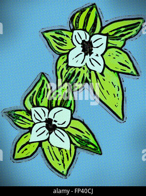 Dogwood white  flowers in abstract  contemporary  design with blue background and black outlines in simplified forms. Stock Photo