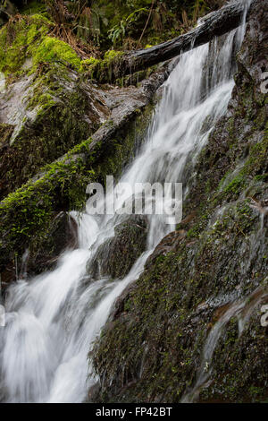 A small waterfall running down the hillside along the South West Coastal Path in Devon near minehead, Uk. Stock Photo