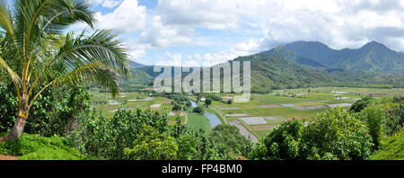 Agriculture valley on the north shore of Kauai, Hawaii Stock Photo