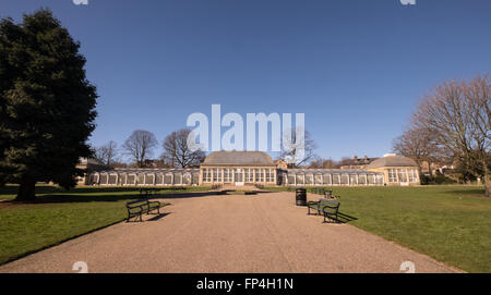 Sheffield botanical gardens, edwardian glasshouse Stock Photo