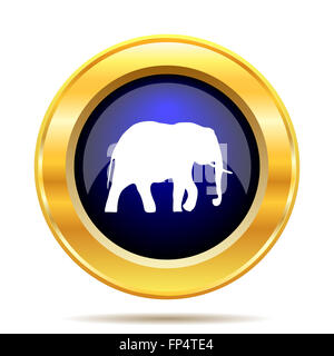 Elephant icon. Internet button on white background. Stock Photo