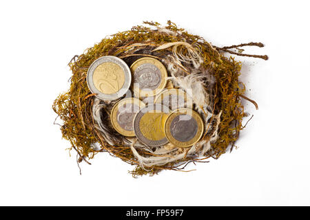 Nest with Euro Coins Stock Photo