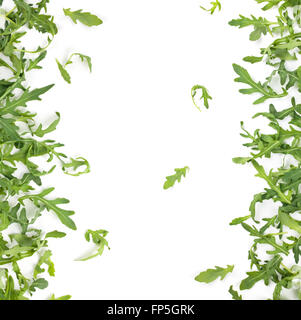 Fresh rocket leaves. Stock Photo