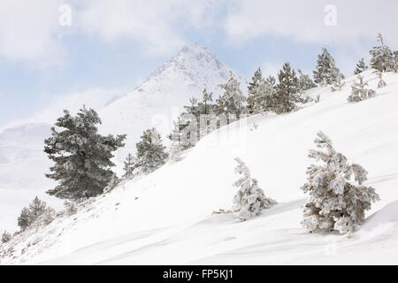 As in a perfect winter postcard Mount Bolza appears sketched in white and blue, Campo Imperatore, Abruzzo, Italy, Italia Stock Photo