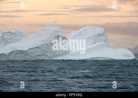 Huge Tabular Iceberg floating at sunset in Bransfield Strait near the northern tip of the Antarctic Peninsula, Antarctica Stock Photo