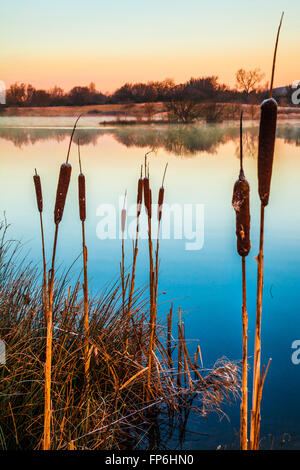 A frosty winter morning on one of the lakes at Cotswold Water Park Stock Photo