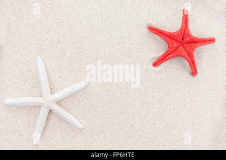 White and red starfishes on sand, space for text. Stock Photo